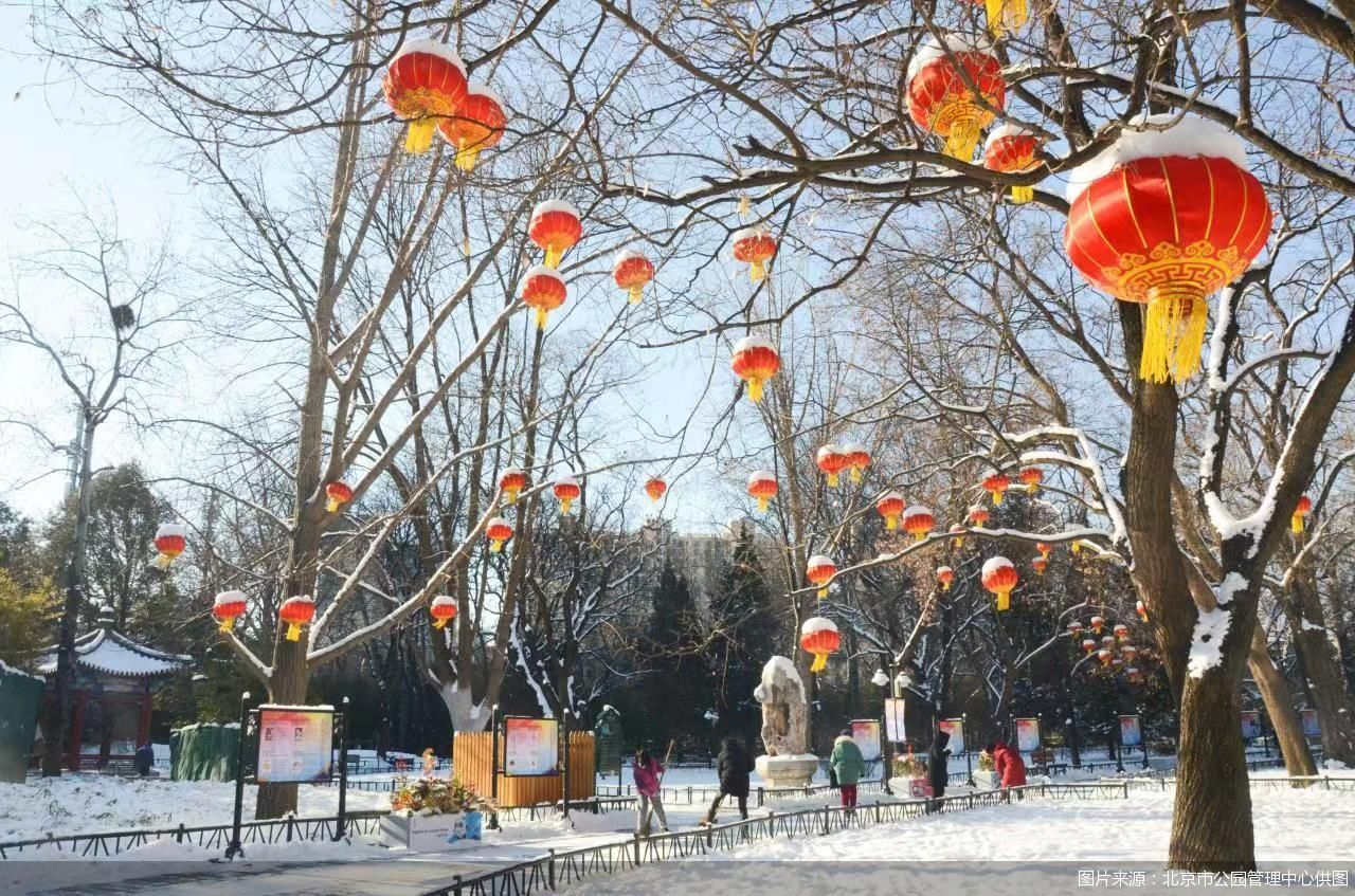 中国园林博物馆|14项节日活动将在元宵节亮相市属公园