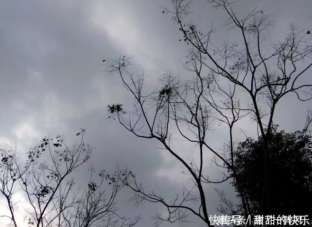 夏季|夏季到来,夜钓的人多了,夜钓要注意这五点