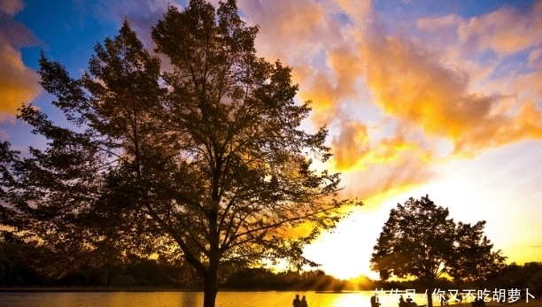 坐月子|很多的婆媳矛盾都是从坐月子开始的