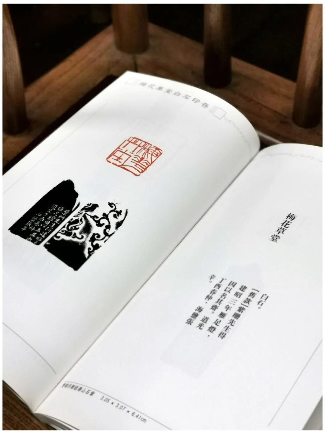 印章#齐白石传人、齐白石书画院院长-汤发周分享:见证齐白石与朱屺瞻友谊的一本书是什么?