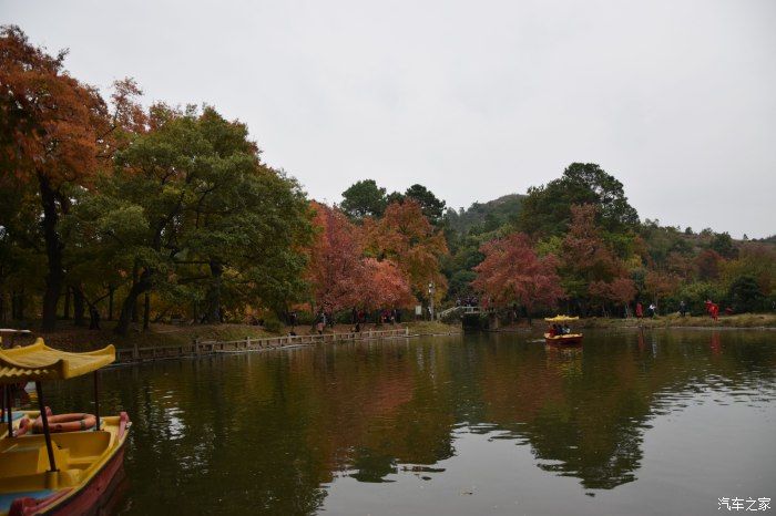 天平山|【喜迎国庆】停车坐爱枫林晚，霜叶红于二月花。游天平山赏枫叶