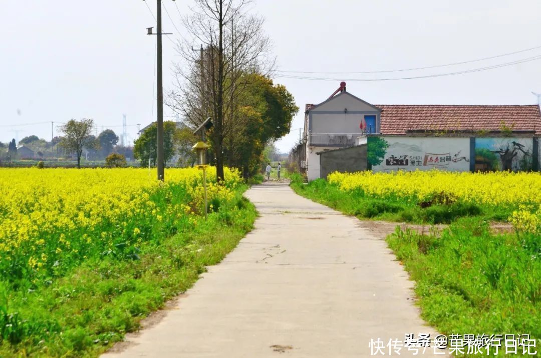 清明节该去趟江苏了，这份3000字的自由行攻略请拿好