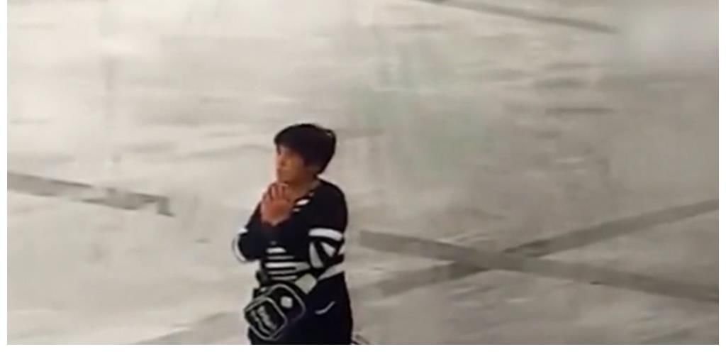 聊天记录|痛失挚爱8年后,撒贝宁痛哭:“我爱的人,再也回不来了”