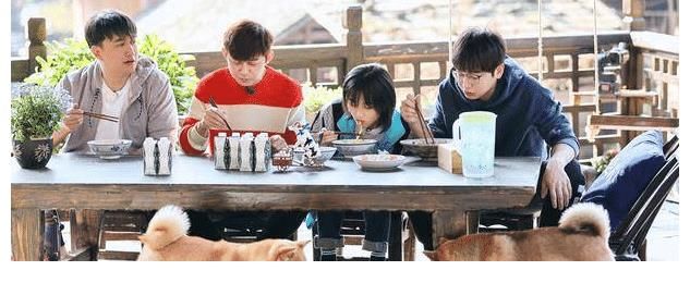 公司|张艺兴作为老板也太称职了吧，就算在综艺里面也不忘宣传自己公司