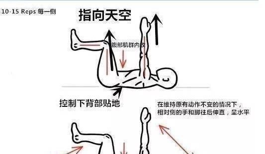 肌肉|失去“啤酒肚”的三个阶段来发展腹部肌肉，且永远不会反弹