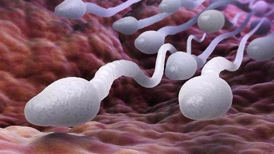 避孕|有种“避孕方法”安全方便，若老公愿意去做，真幸运，遇到了真爱