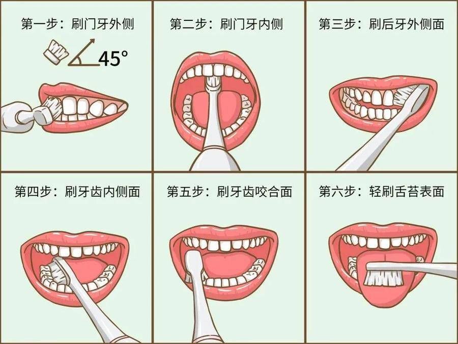 美莱|杭州美莱口腔健康科普：父母嘴里还剩几颗健康牙齿，你清楚吗？