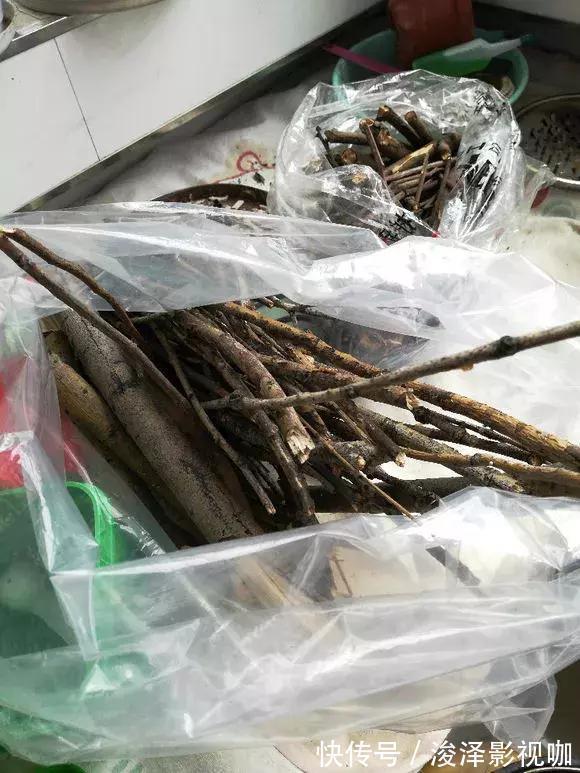 羊粪|路边捡来4种小东西,丢在盆底,一年不用施肥,也不怕烂根!