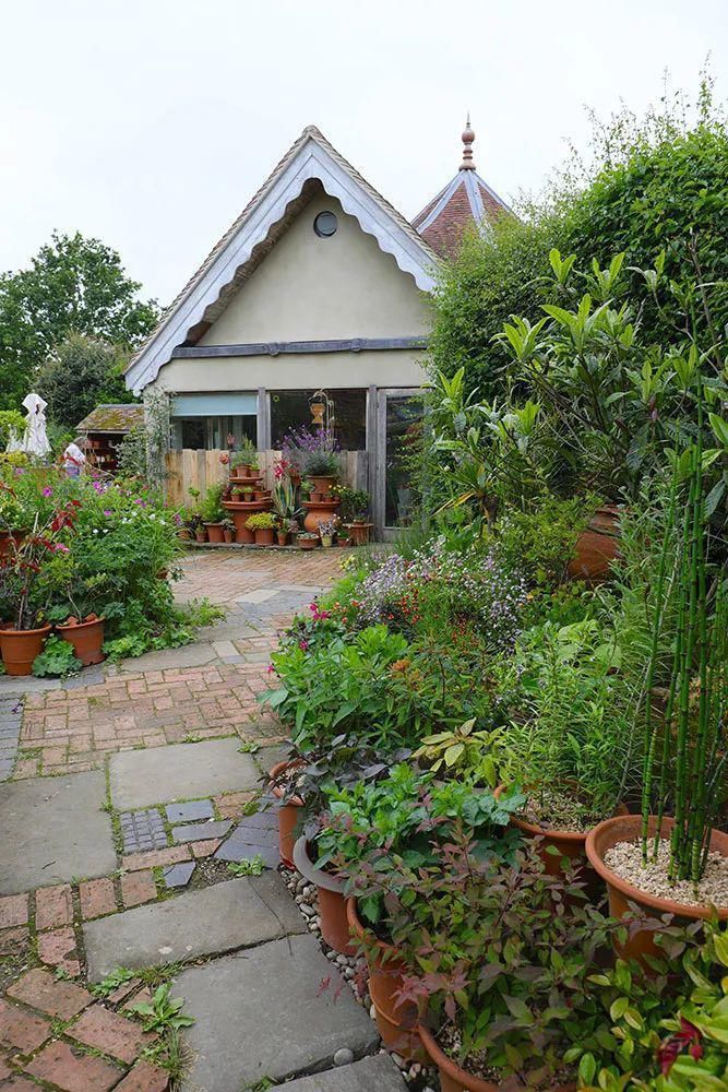  看完这个，想把家里花盆丢了