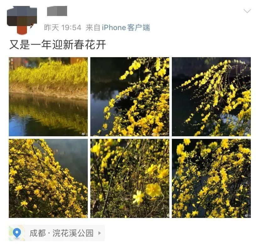 周末赏花不想扎堆的，看过来！