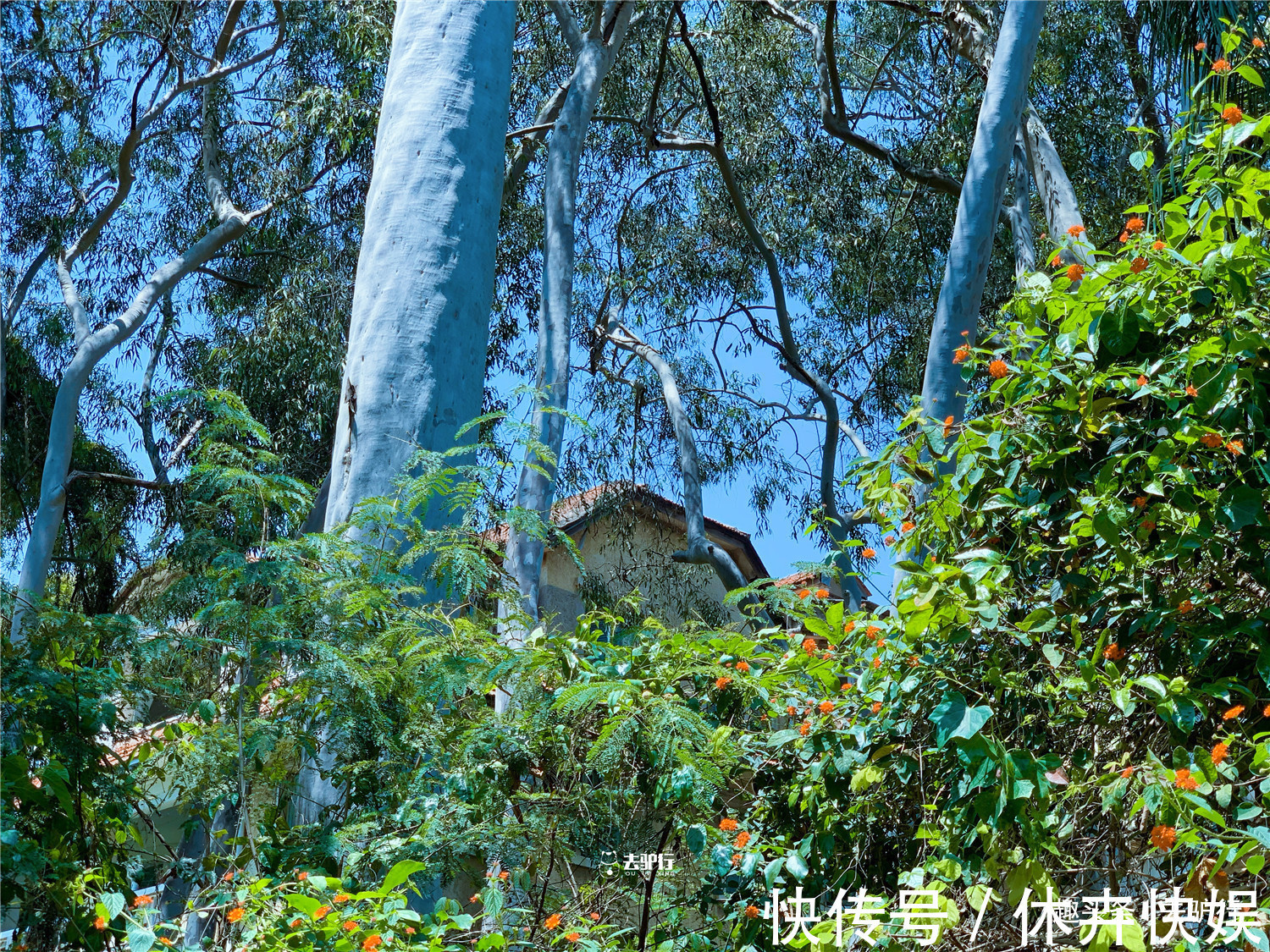 林屋|半荒废的鼓浪屿豪宅，估值成千万上亿元却无人居住，原主人不卖