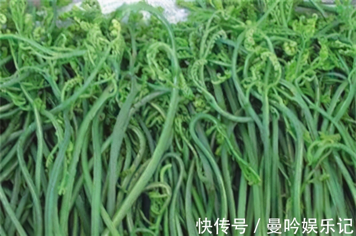 食物|会吃的人最健康，3种食物经常吃，排毒消脂，抗衰老，增强抵抗力