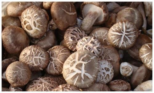 食物|为什么有人越吃越瘦？常吃这5种食物，让你瘦成闪电