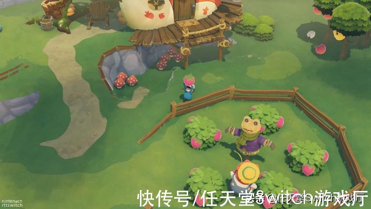 蛙岛时光|3D版青蛙旅行？青蛙版动森《蛙岛时光》将登陆switch