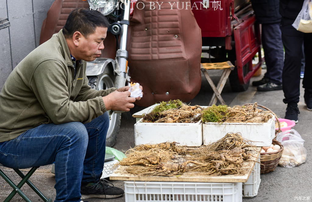  中朝边境的长白菜市场，人参像萝卜一样摆地上卖，有的商品真便宜