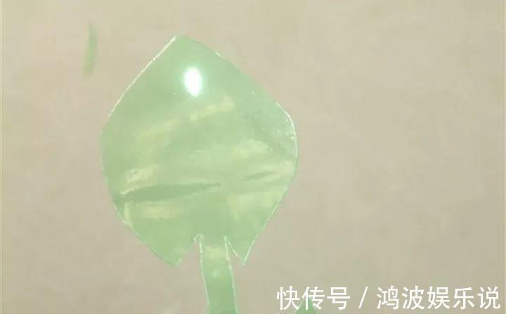 富贵竹|雪碧瓶别丢了,剪个口子拿来养花,一点不比买得花盆差!