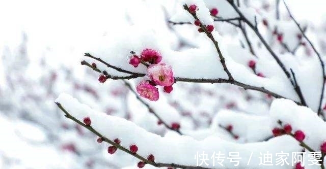 白居易！三千世界雪花中。五首雪花古诗，五种意境美，哪一种会让你欢喜