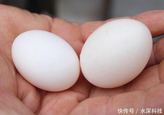 花生|这是纯天然“提高剂”，标准差还要给孩子吃，推动骨骼生长，个子或能再涨涨