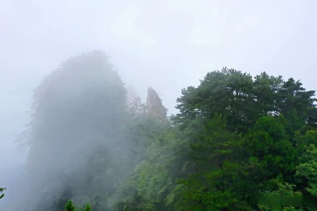 山脊|知名笔下的秘境五指山之一:神奇五指山 有恙亦珊阑