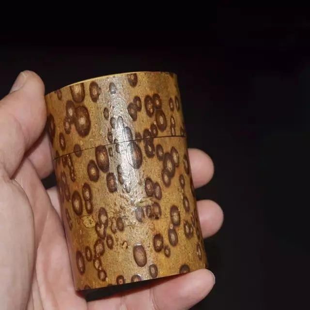  挺好玩|这几种竹子挺好玩的