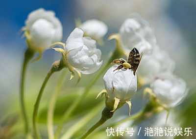 生肖|算命的说，越胖才越有福气，3个生肖女是最不应该减肥的生肖！