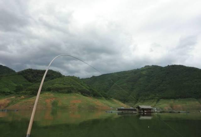 翘嘴鱼的一些特点跟钓法,再配上这饵料,助你轻松钓获大翘嘴鱼
