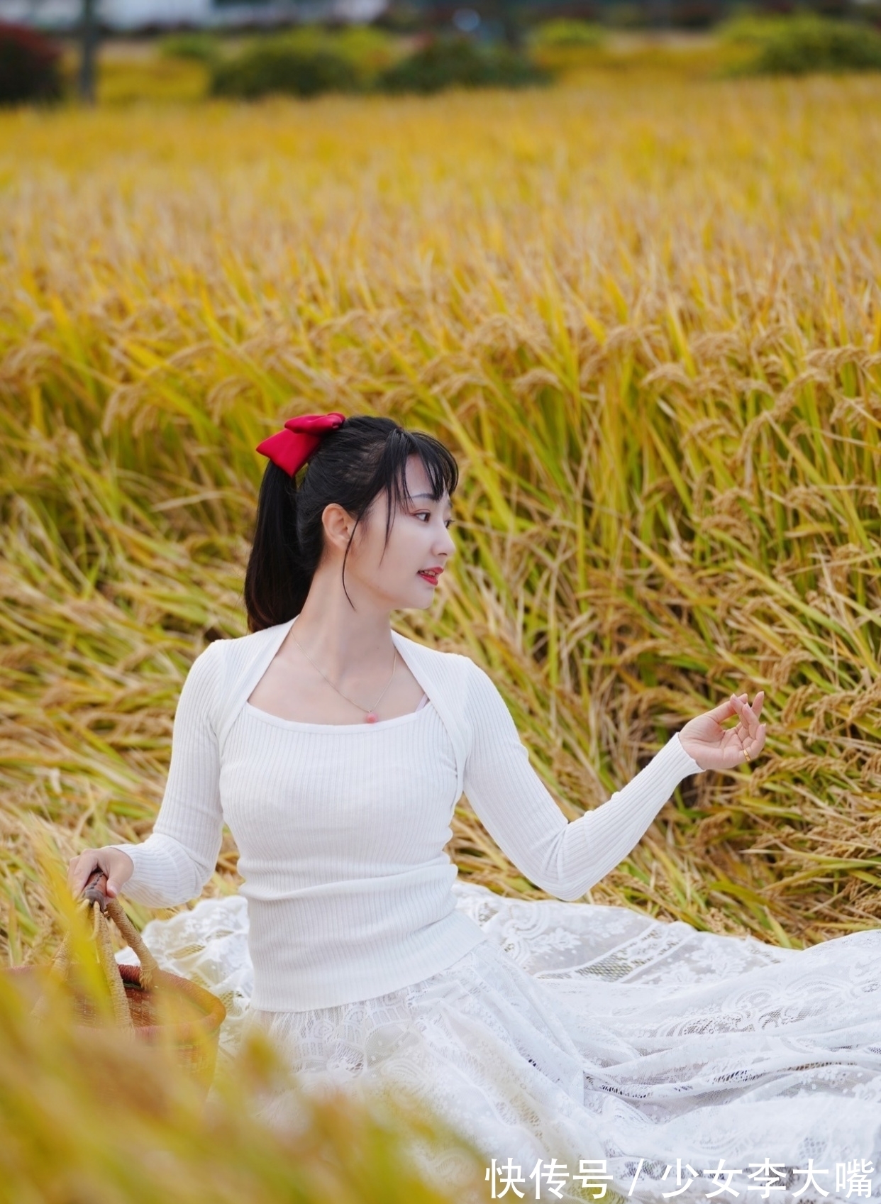 青罗#诗·十一首丨玄霜已覆青罗被,黄菊才妆金缕衣