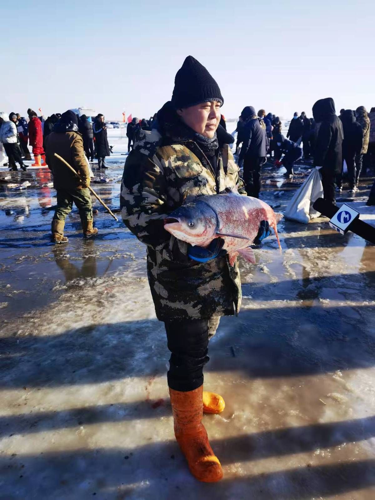 头鱼|吉林镇赉哈尔淖冰雪捕鱼季盛大启幕