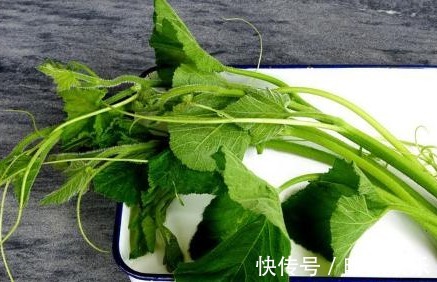 瓜藤|乡下常见的瓜藤,是治疗高血压的良药,常吃血压蹭蹭往下降!