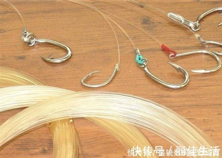 线组|钓到大鱼不切子线，却切主线是何道理？子线缠绕打结怎样解决