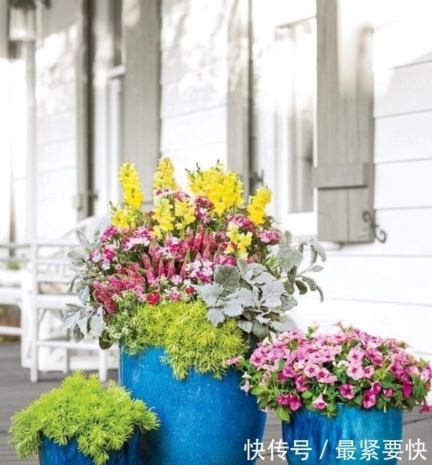 任何容器都能用来做花盆，请收好这30种美丽的花盆搭配设计