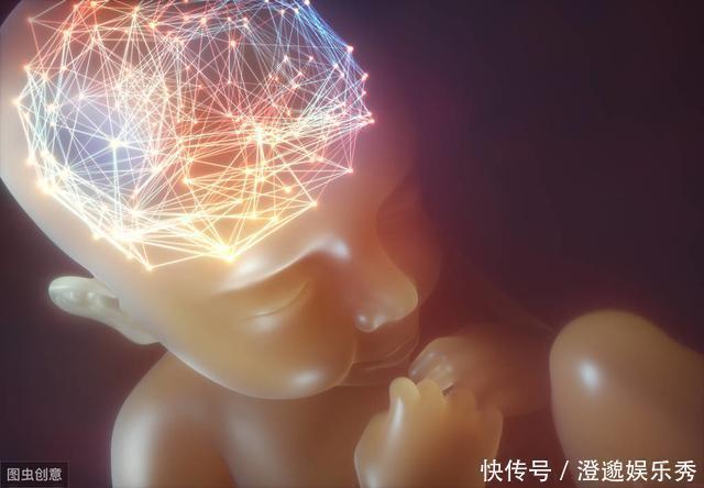 母体|宝宝真的有“宫内记忆”吗?妈妈说:3岁女儿的话,让我不可思议