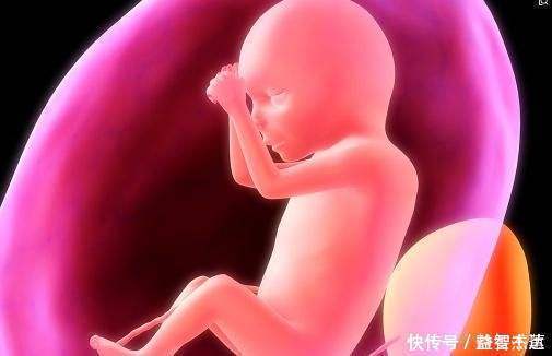 胎宝|胎宝也会肚子饿，孕妈收到这三种“信号”，说明需要补充能量了