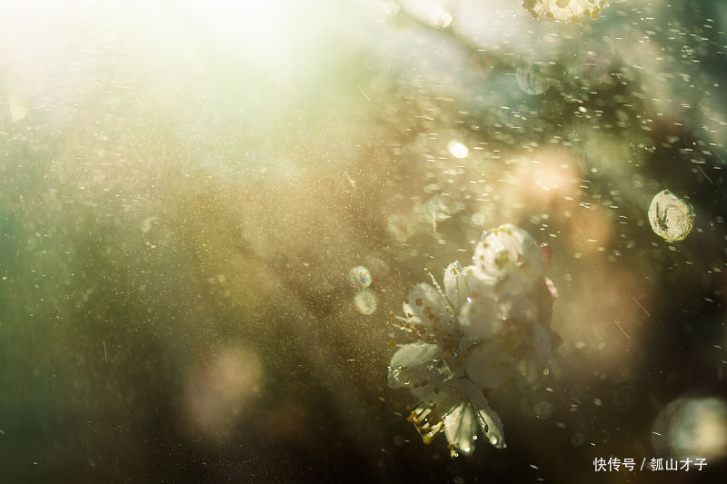瓠山才子诗词:【虞美人】忆萧雨