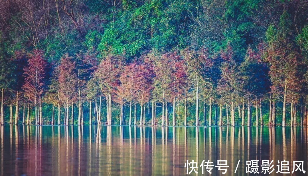 碧峰@李白意境最美的一首诗,字字皆美,第二句竟然