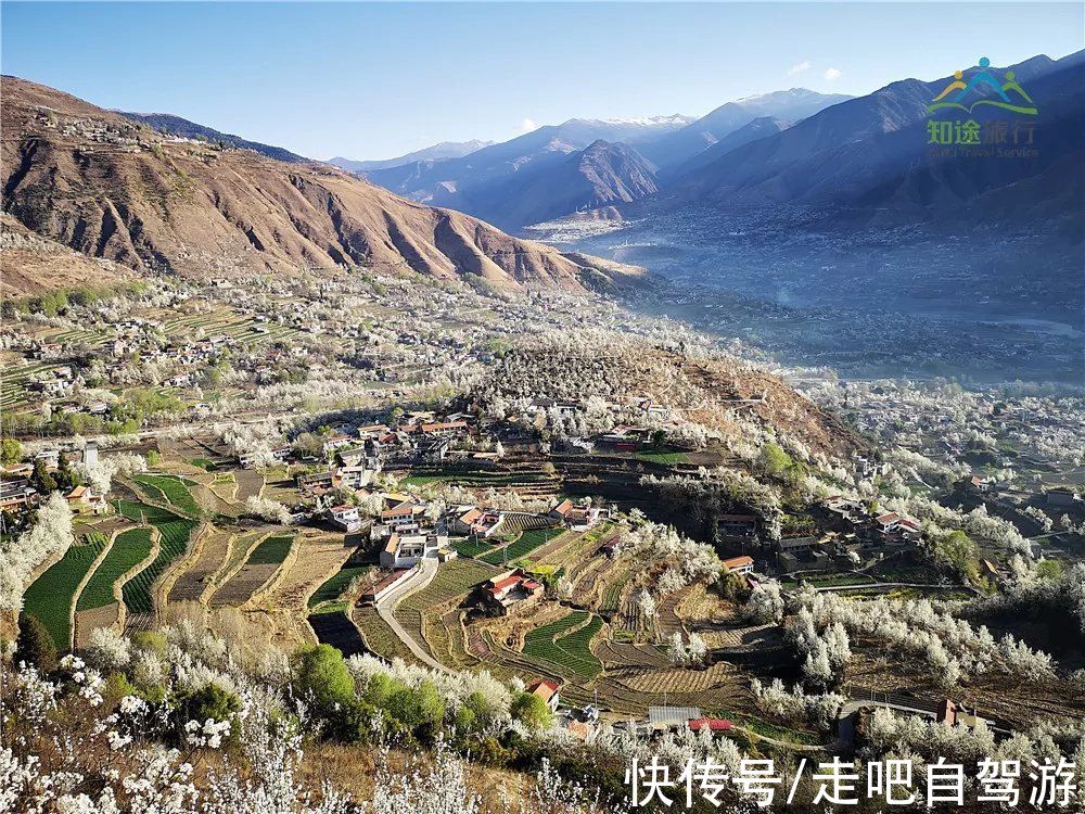 神仙包|春天第一站就去这里！醉春天之川西花海、雪山、冰湖七天之旅