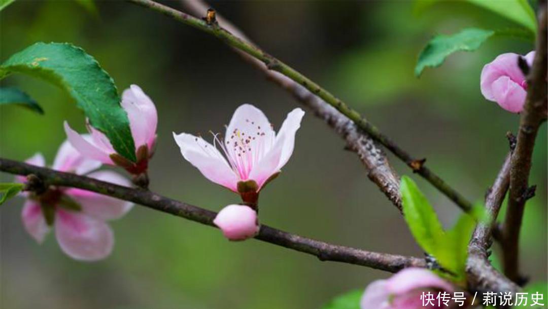  落魄|晚唐落魄才子吴融，一生命运多舛，写下的这首《卖花翁》句句伤感