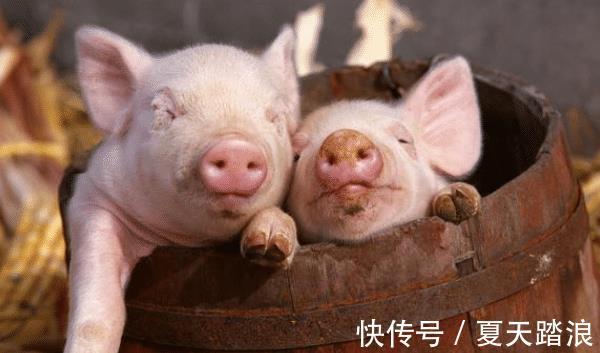 困境|7月28-8月6日,紫气东来,3生肖跳出困境,事业成功在即