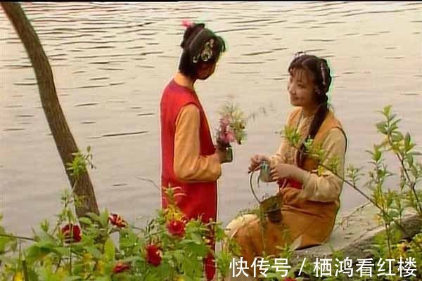 丫头$宝钗为何放纵莺儿采摘花木？不然，她就是另一个邢岫烟！