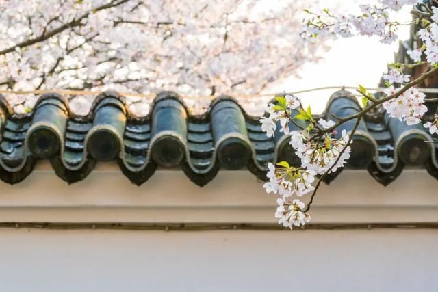 灯笼|哲思｜值得深交的人，都有四个共性