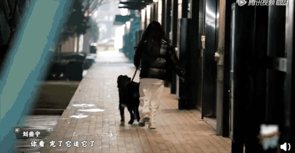 几年前就被艺人警告过，怎么还不长记性？