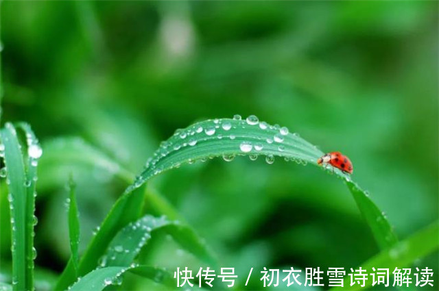 白露|宋人丘葵的白露诗,一岁露从今夜白,借用杜甫名句,却更苍茫沉痛