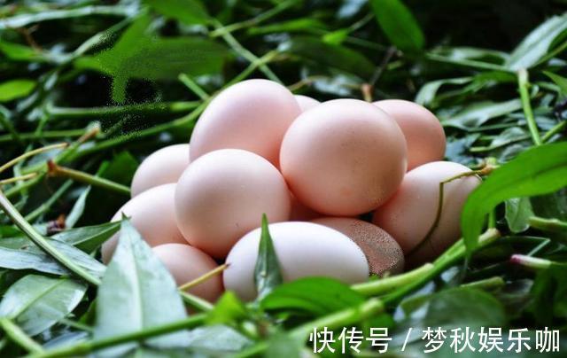 发酵|枸杞和鸡蛋,90岁老爷爷经常这样吃,脸上的皱纹少了,精神好了