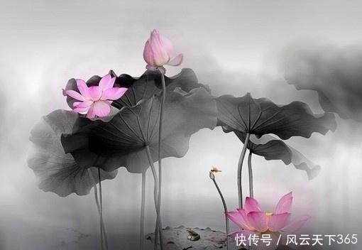 蓦然回首#佛教最经典的24句话,修身养性,不看是你的损失!