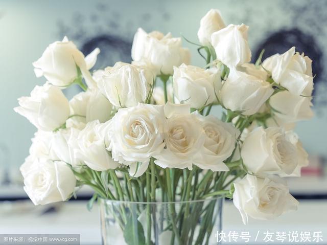 人生8不交,8不能,8不要,8不做,8不比,8不气,8不完