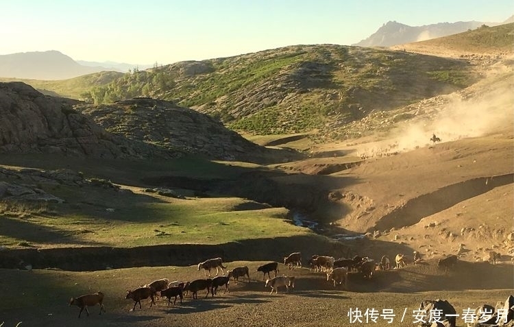 哈萨克|草原上的生命大迁徙哈萨克转场