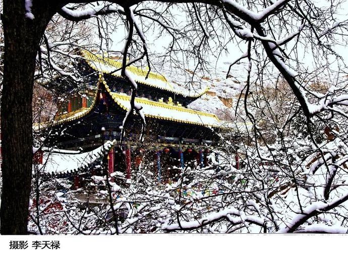 卧龙|在卧龙寺，听雪落下的声音