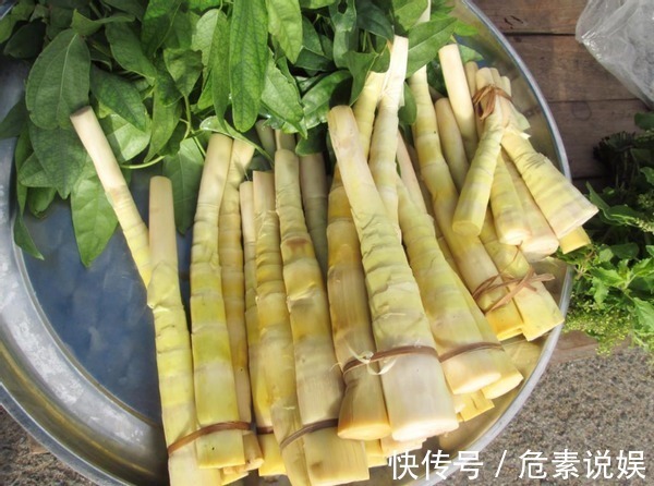 买竹笋应该怎么挑老菜农教你几招,以后别买错了,难吃还浪费钱