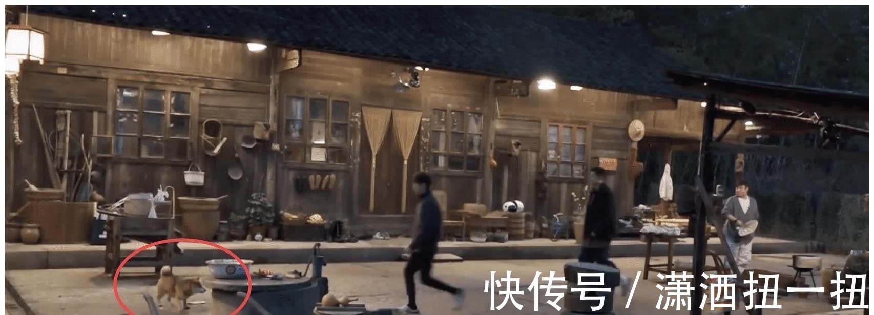 何炅从地上捡起小H叼的肉，打算洗洗煮了吃，张艺兴的做法好耿直