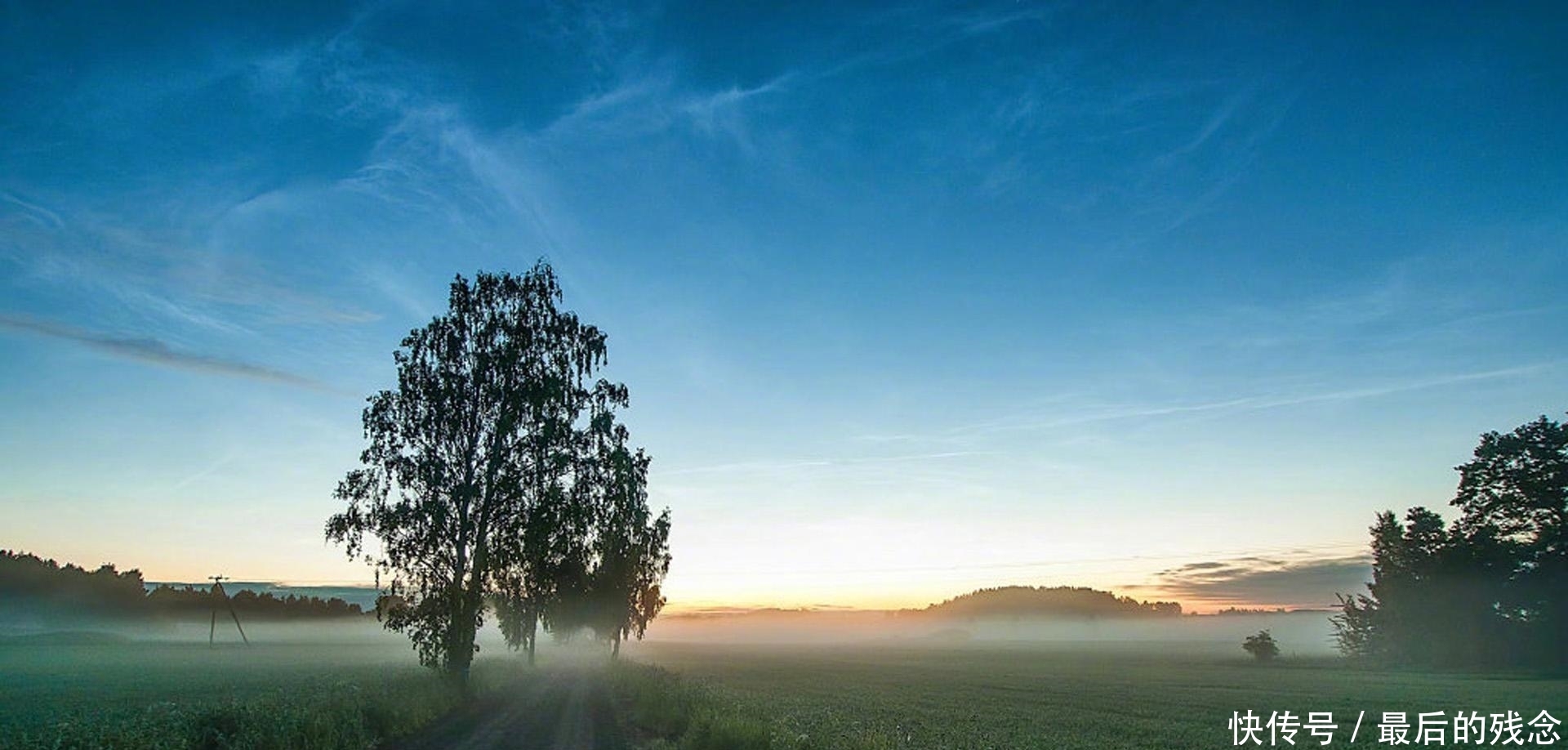 夜幕|夜幕下的舞者